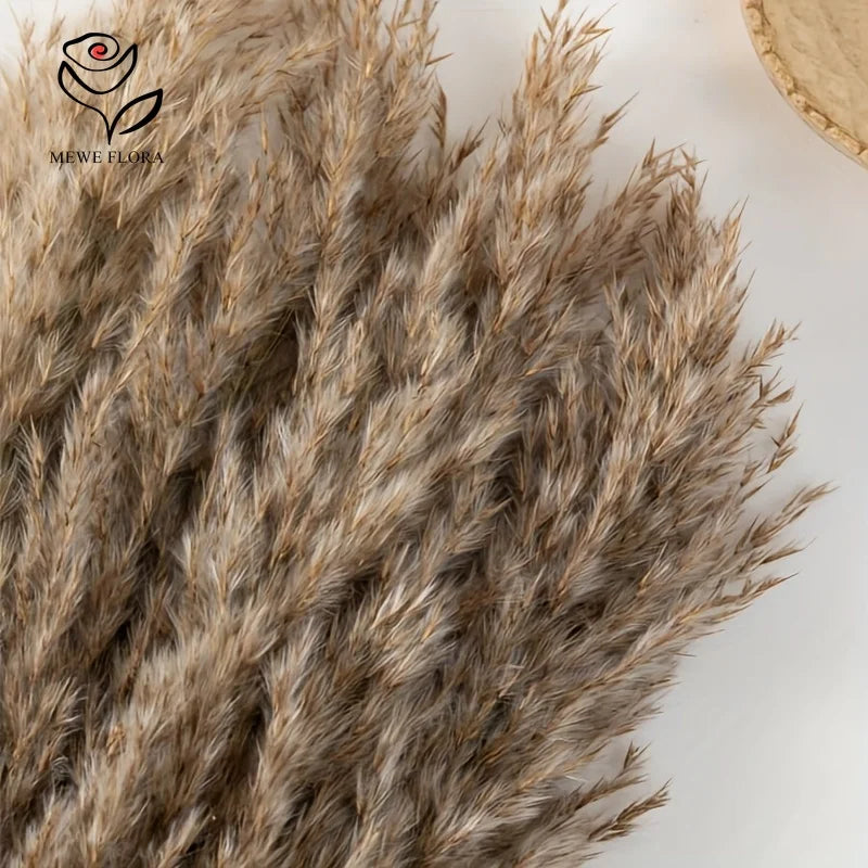 15pcs Large Fluffy Pampas Grass Bouquet Low-Maintenance Dried Flowers for Home Office Outdoor Decor Boho Table Vase Centerpieces