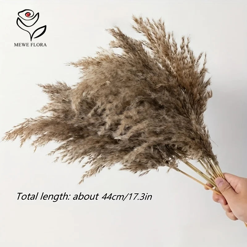 15pcs Large Fluffy Pampas Grass Bouquet Low-Maintenance Dried Flowers for Home Office Outdoor Decor Boho Table Vase Centerpieces